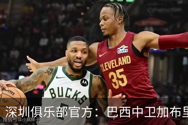 深圳俱乐部官方：巴西中卫加布里埃尔加盟