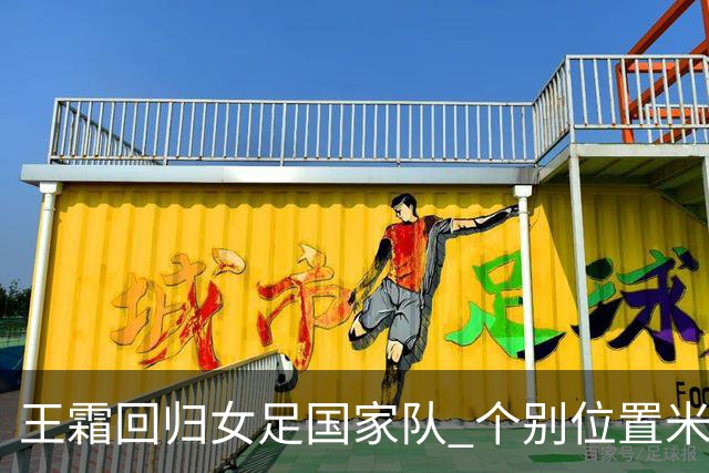 王霜回归女足国家队 个别位置米利西奇仍在考察
