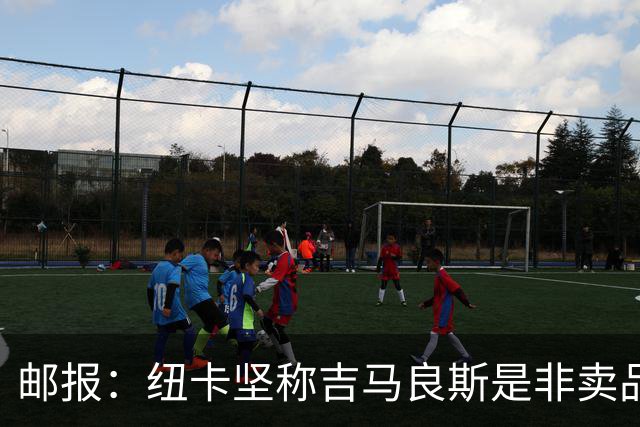 邮报：纽卡坚称吉马良斯是非卖品 阿森纳准备进行第二次报价